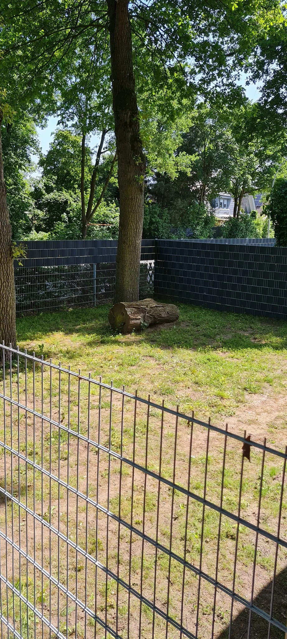 4PAWS Hundepension und Hundetagesstätte - Spijk pet otel