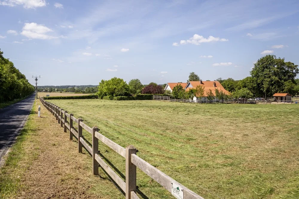 Dierenpension “am Reichswald” - Spijk pet otel