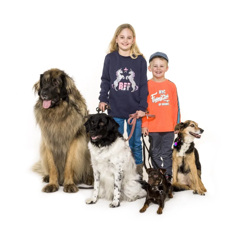 Dierenpension “am Reichswald” - Spijk pet otel görseli 3