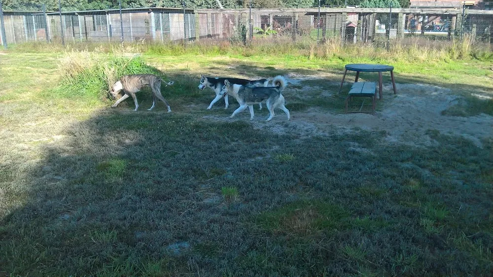 GLAHU Hunde - und Katzenpension - Spijk pet otel görseli 3