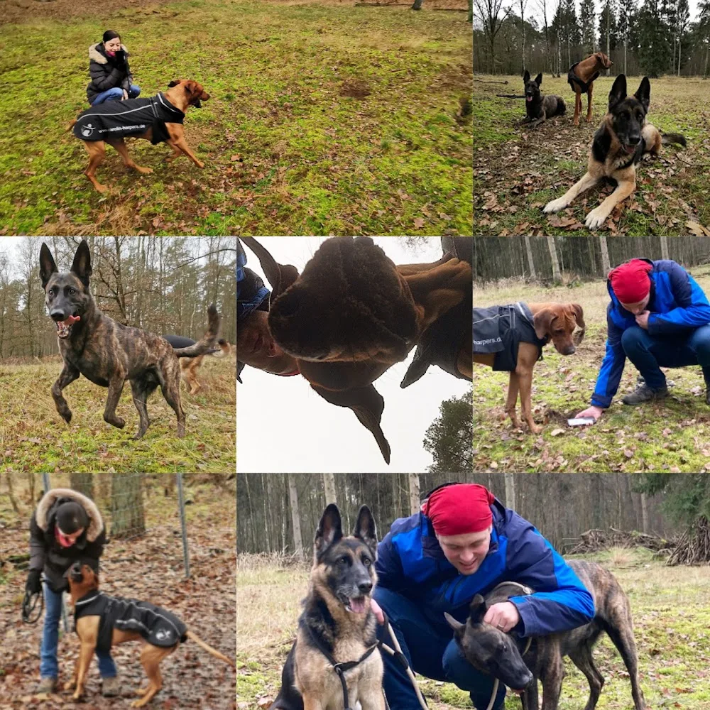 Hundefreunde vom Niederrhein - Spijk pet otel görseli 3
