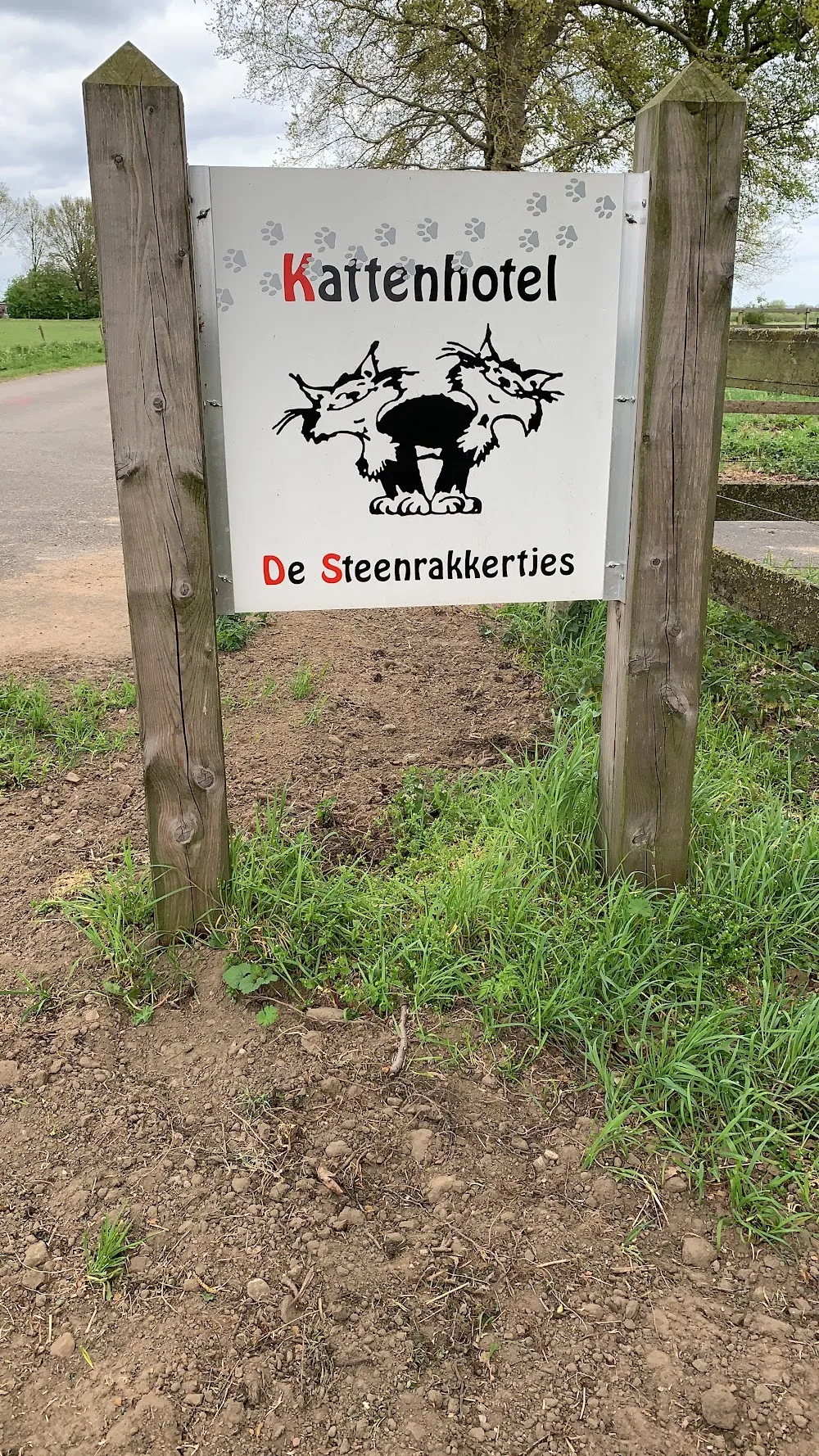 Kattenhotel De Steenrakkertjes - Spijk pet otel görseli 2