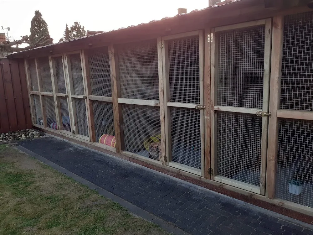 Konijnen en knaagdieren Pension Spijk - Spijk pet otel görseli 2