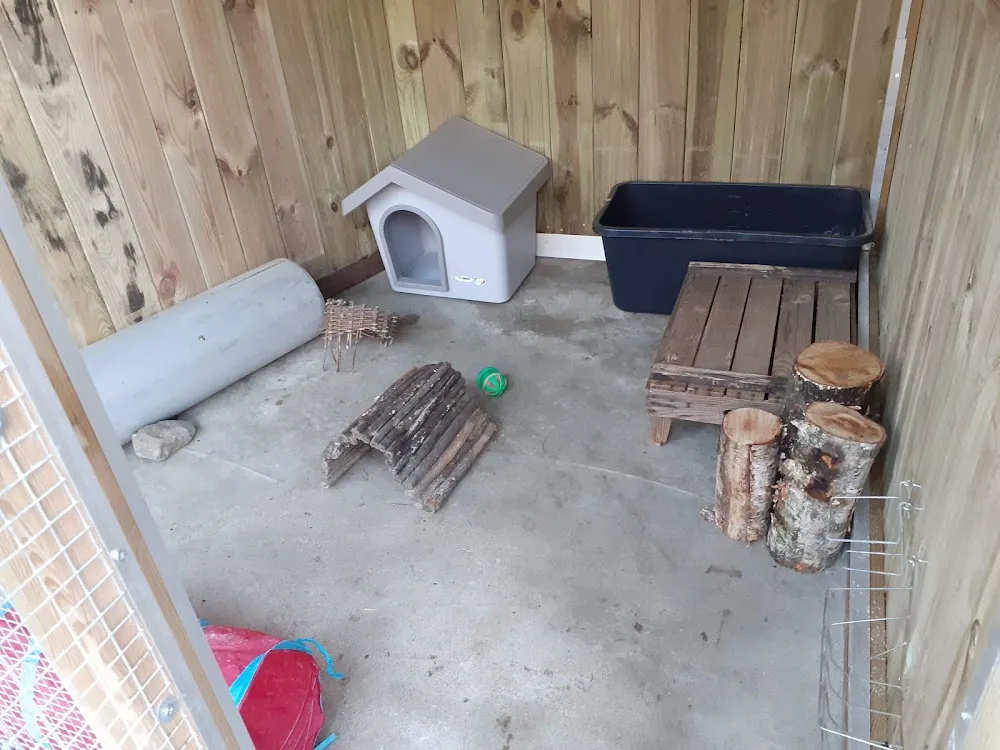 Konijnen en knaagdieren Pension Spijk - Spijk pet otel görseli 3