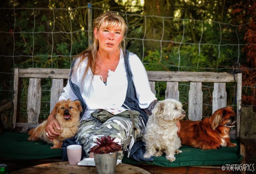 Zwergenpension für kleine Hunde - Spijk pet otel