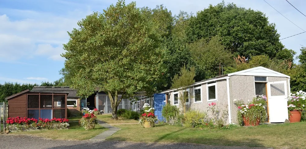 Greenfields Boarding Cattery - St Albans pet otel görseli 2