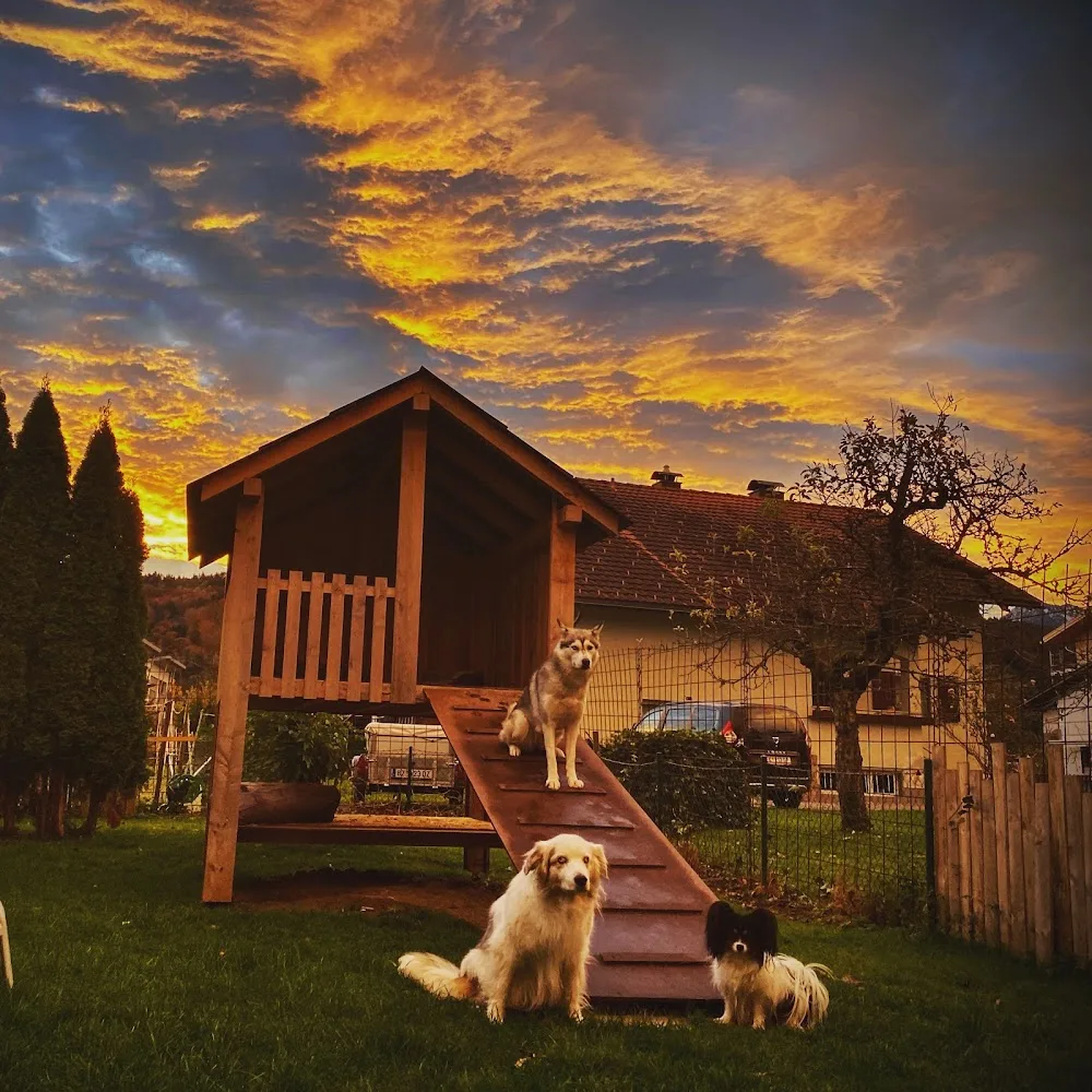 Hundepension "klein aber fein" - St. Gallenkirch pet otel görseli 2