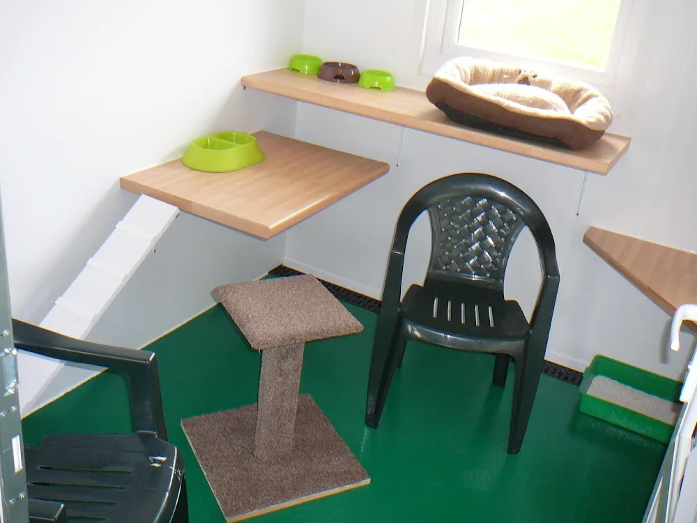 Bromley Hayes Cattery - Staffordshire pet otel görseli 3