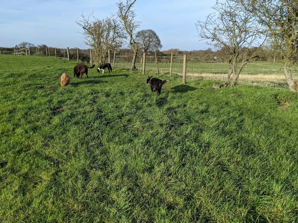 FM Boarding Kennels - Staffordshire pet otel