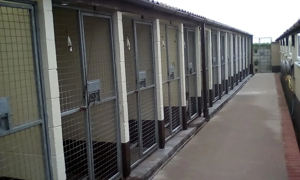 Hardiwick Kennels - Staffordshire pet otel görseli 3