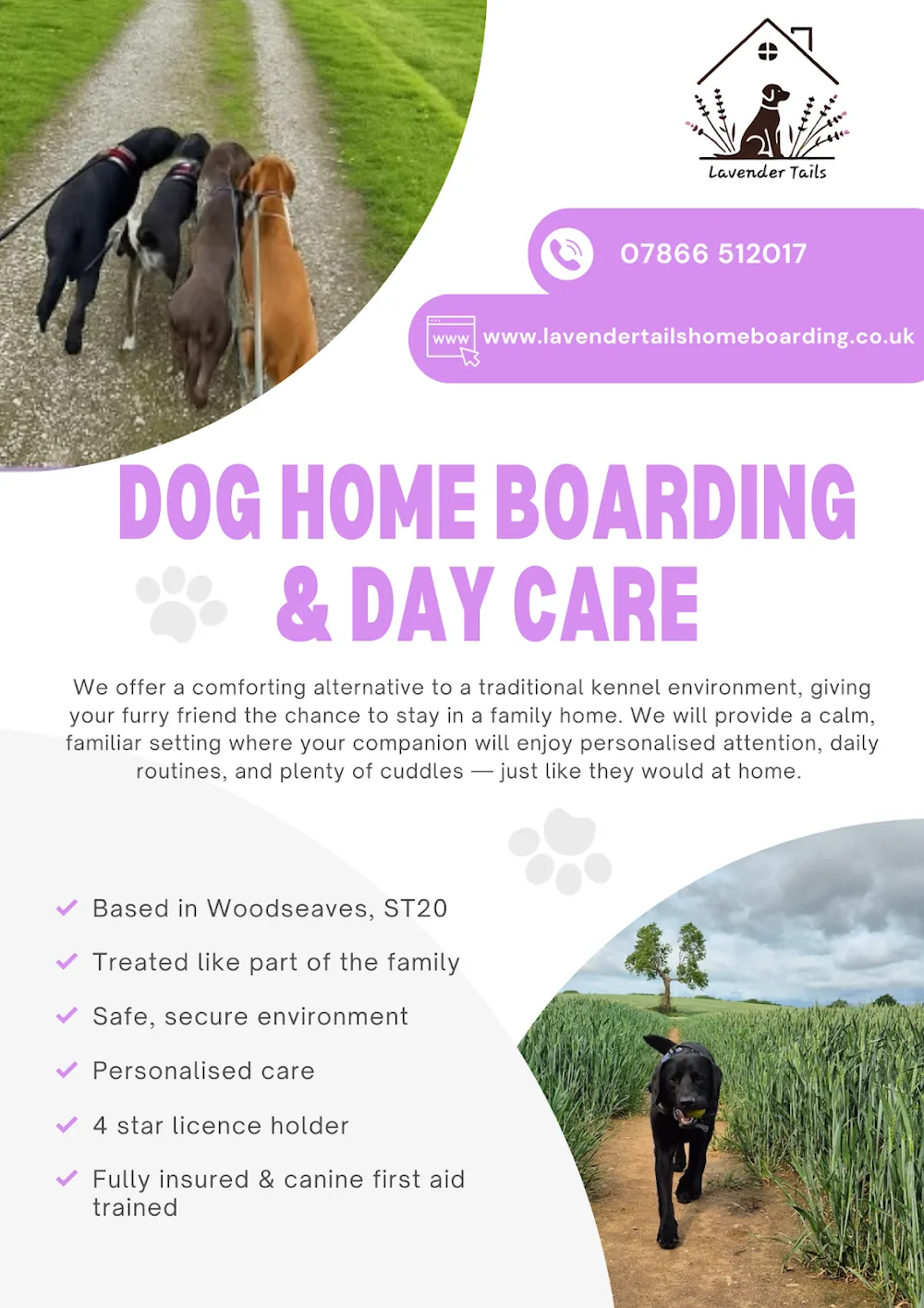 Lavender Tails Dog Home Boarding & Dog Day Care - Staffordshire pet otel görseli 2