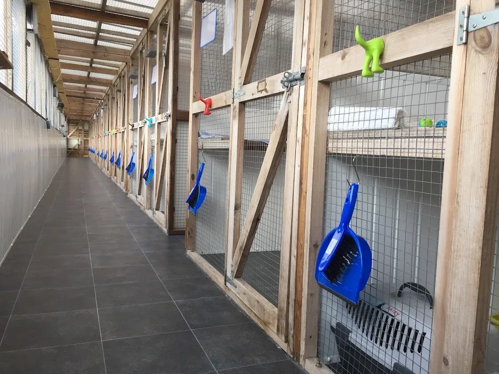 Mere Moggies Cattery - Staffordshire pet otel