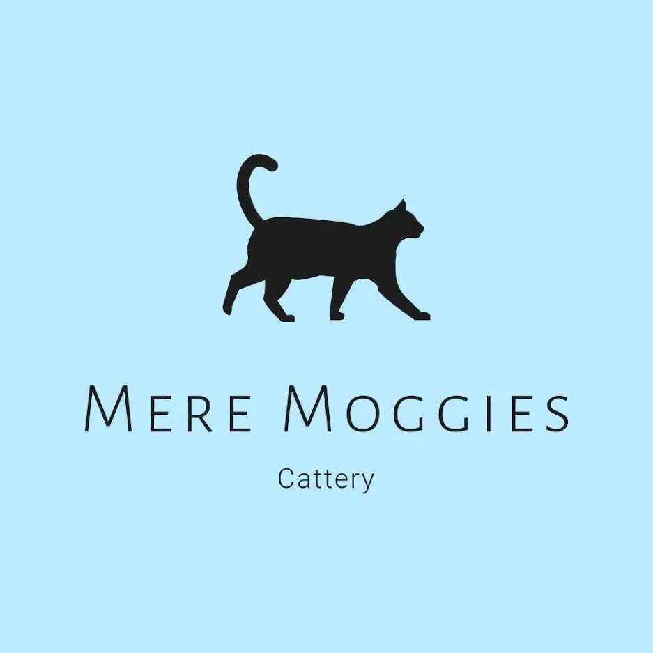 Mere Moggies Cattery - Staffordshire pet otel görseli 3