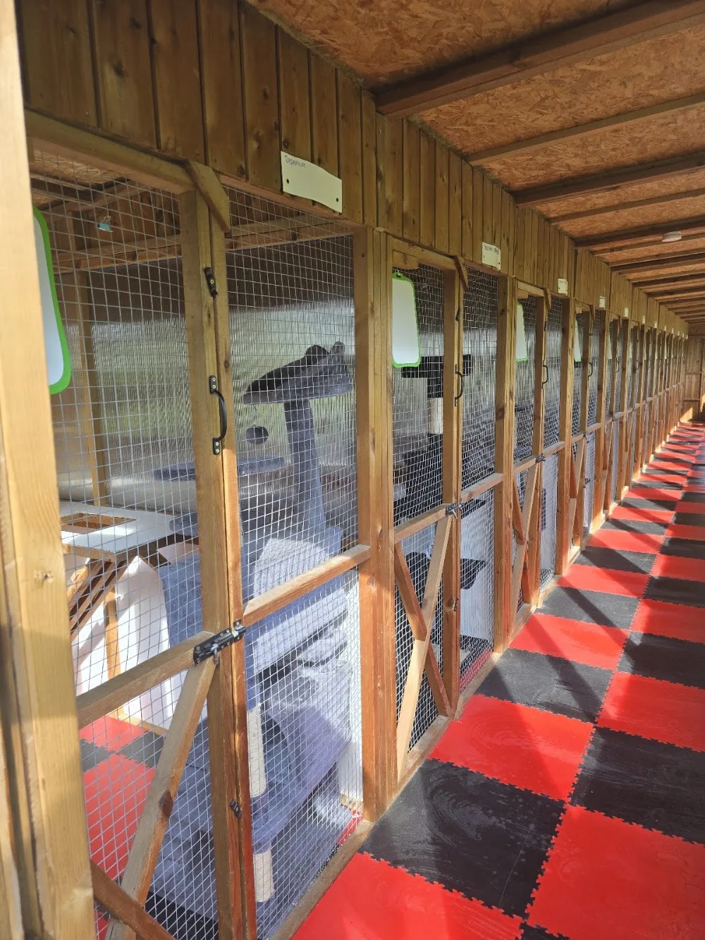 Oaklea Boarding Kennels & Cattery - Staffordshire pet otel görseli 2