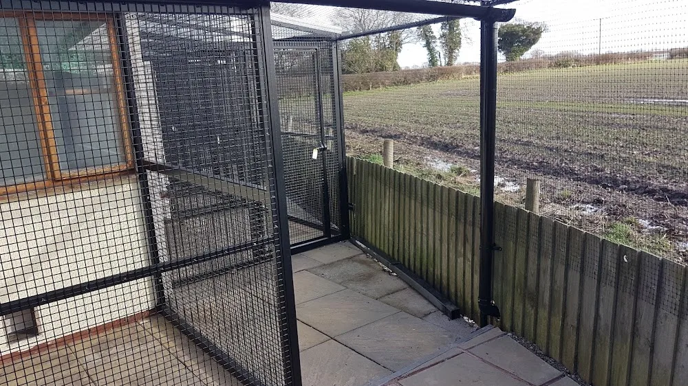 Posh Paws Cattery - Staffordshire pet otel görseli 3