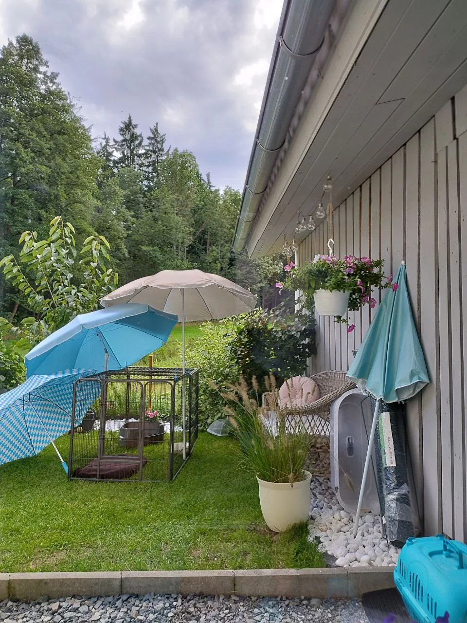 Katzenhotel Mi-Mi - Stemmen pet otel görseli 3