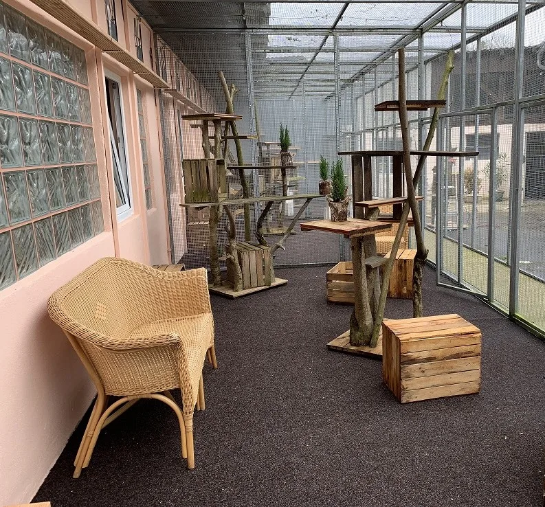 Katzenpension Samtpfötchen Ingolstadt - Stemmen pet otel görseli 3