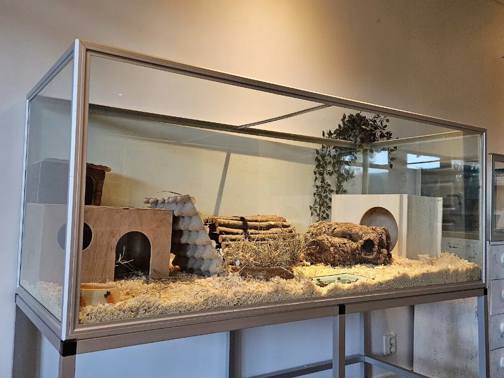 Smådjurshuset Stockholm AB - Stockholm pet otel görseli 3