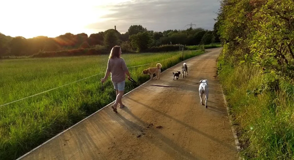 Gemma's Dog Boarding - Stockport pet otel görseli 3