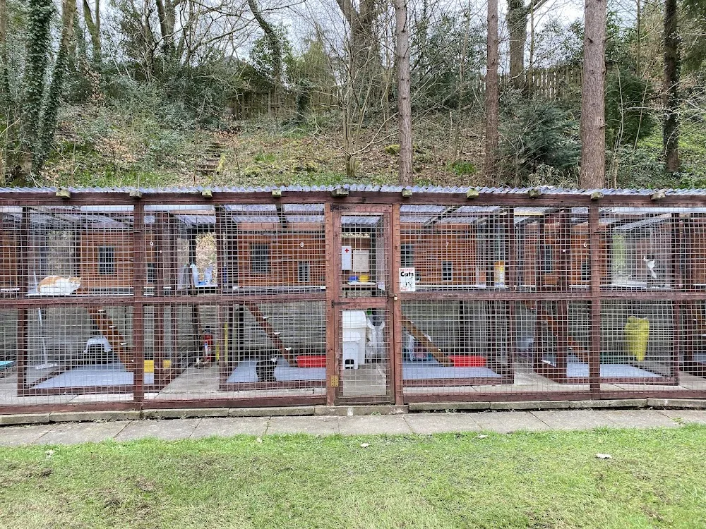 Leawood Boarding Cattery - Stockport pet otel görseli 3