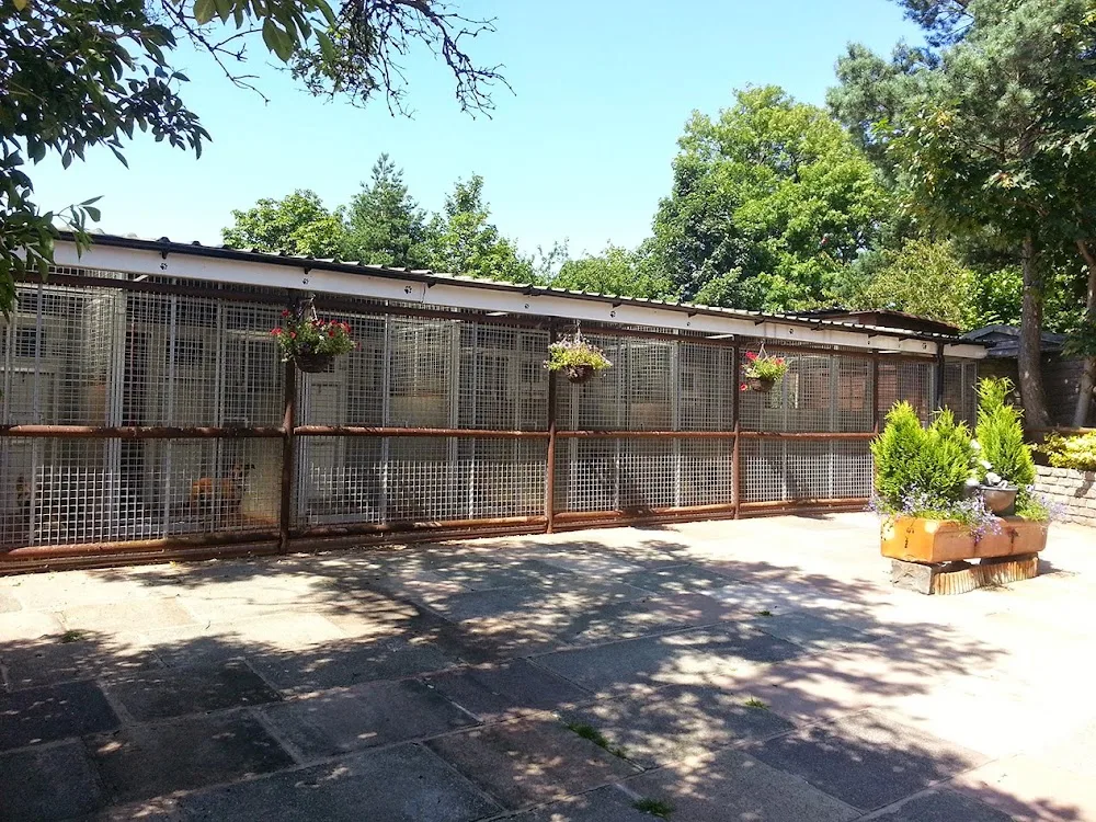 Springbank Farm Kennels & Cattery, Manchester - Stockport pet otel görseli 3
