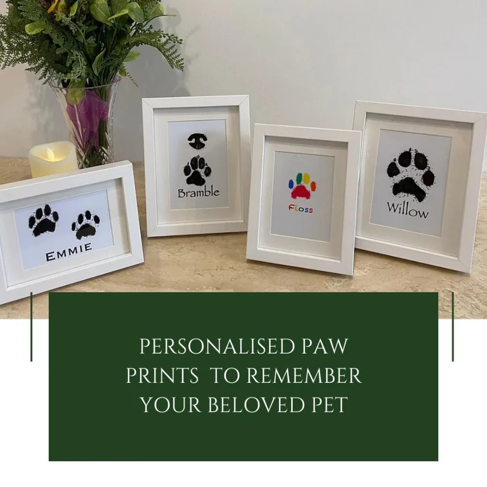 Springfield Farm Pet Cremation - Stockport pet otel görseli 5