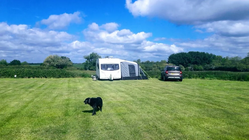 Adstock Cats Hotel - Stoke Goldington pet otel görseli 3