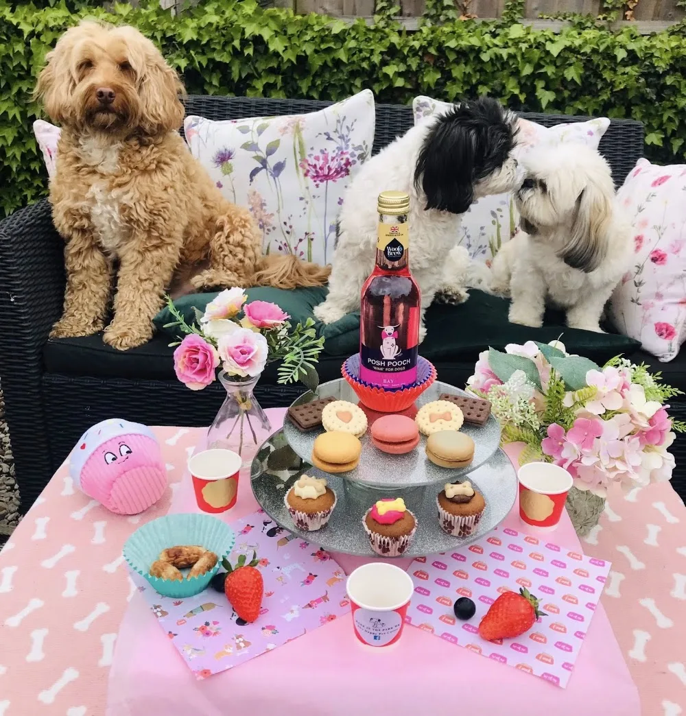 Bark In The Park MK - Stoke Goldington pet otel