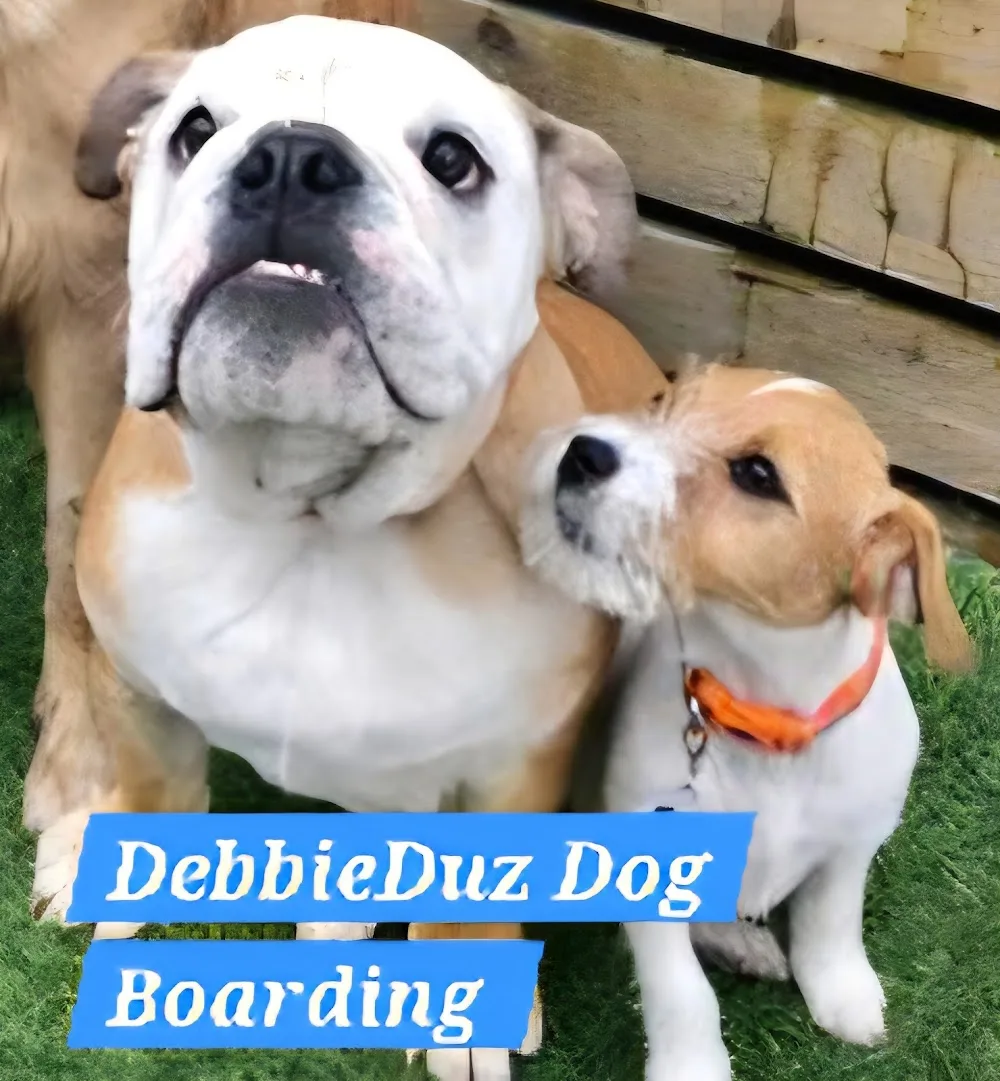 DebbieDuz Dog Boarding - Stoke Goldington pet otel