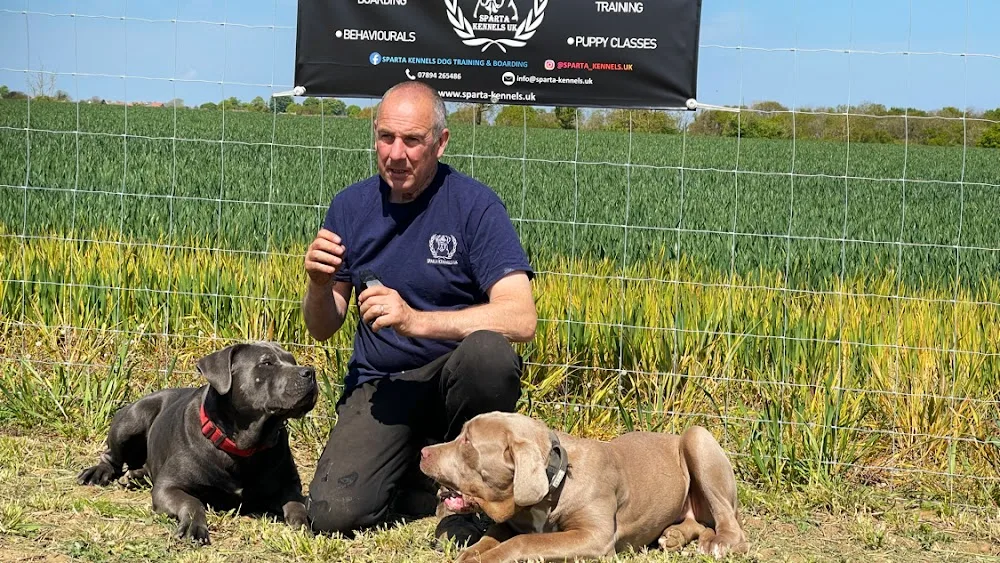 Sparta Kennels Uk - Stoke Goldington pet otel görseli 2