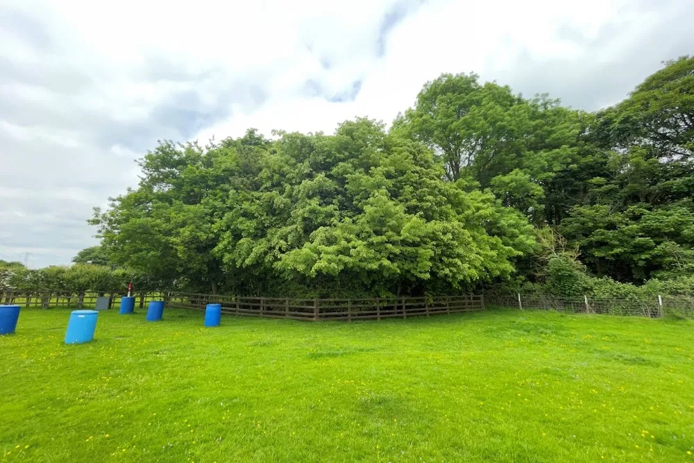 Sparta Kennels Uk - Stoke Goldington pet otel görseli 3