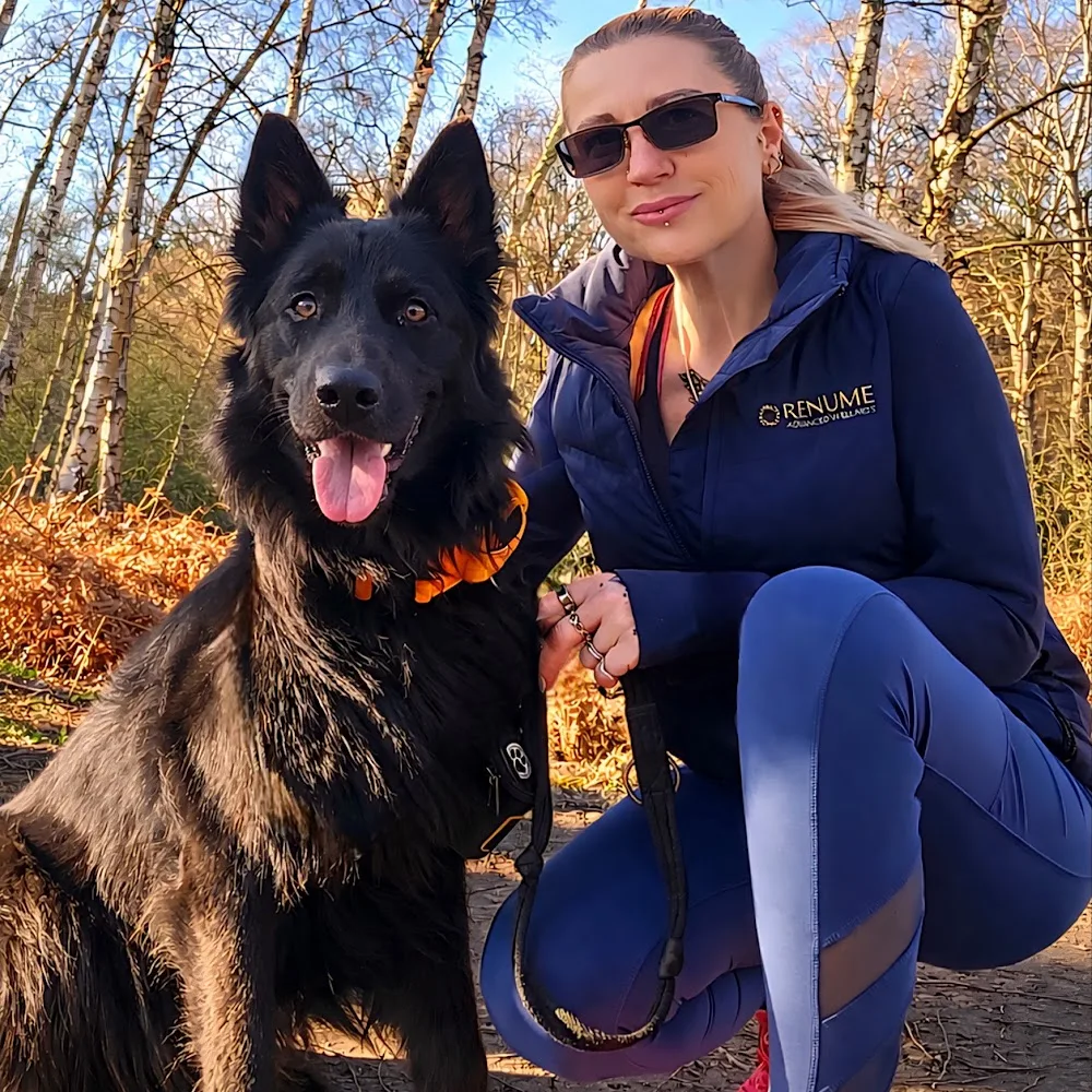 Sparta Kennels Uk - Stoke Goldington pet otel görseli 4