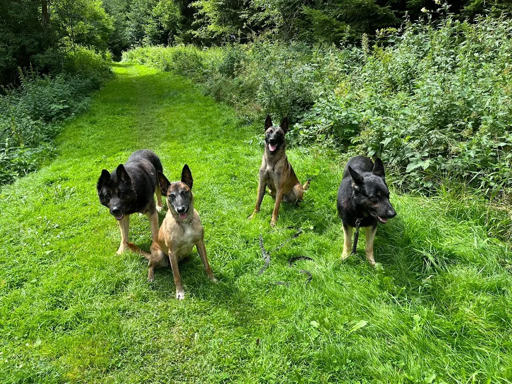 Ing. Bohumila Molnárová - Strakonice pet otel