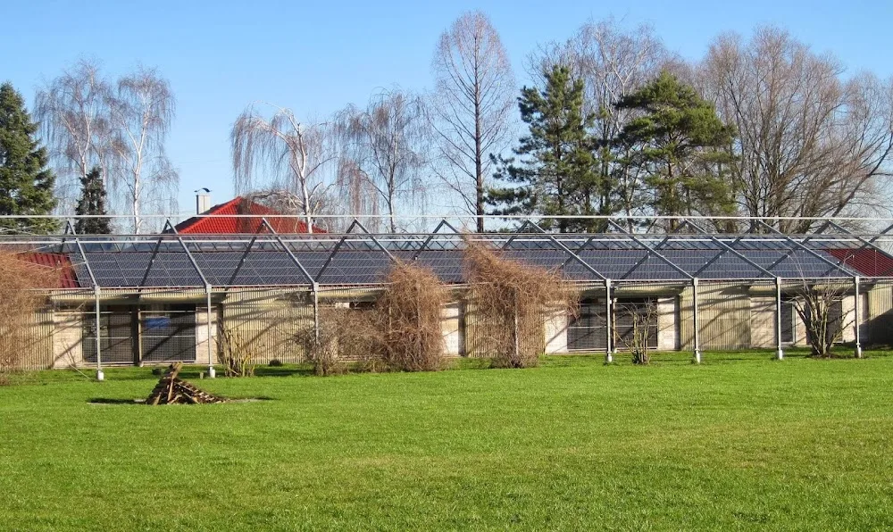 Hundepension Metz - Stutensee pet otel