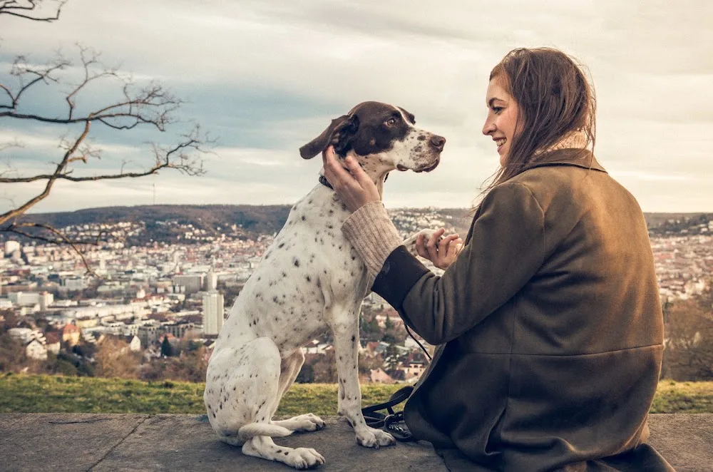 Fellfarben Tierbetreuung Stuttgart - Stuttgart pet otel