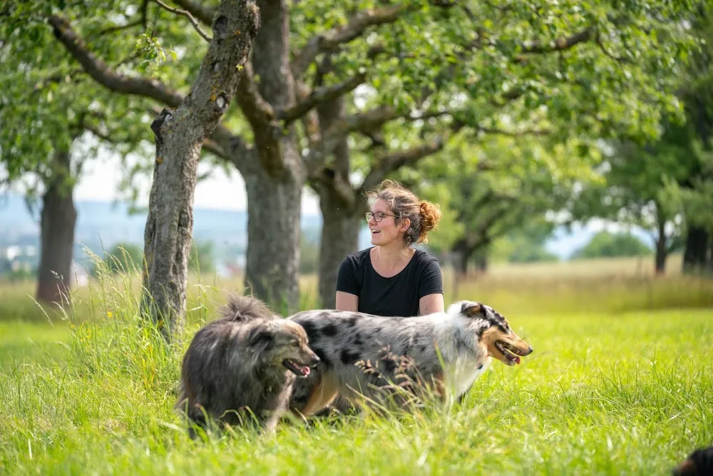 Hundepension Annika Jankov - Stuttgart pet otel görseli 3