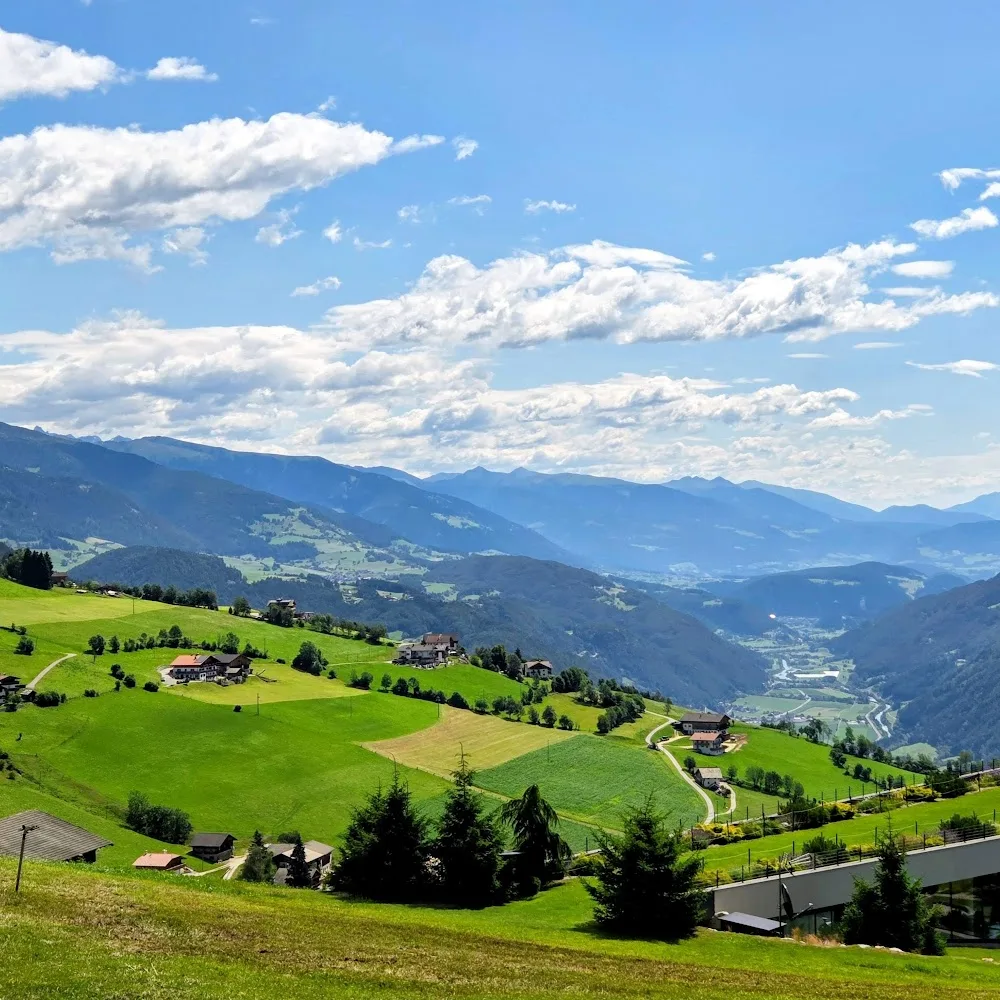 Hundezentrum Esslingen - Hundeschule, Hundepension, Hundetagesstätte, Hundeinternat, Hundephysiotherapie - Stuttgart pet otel görseli 5