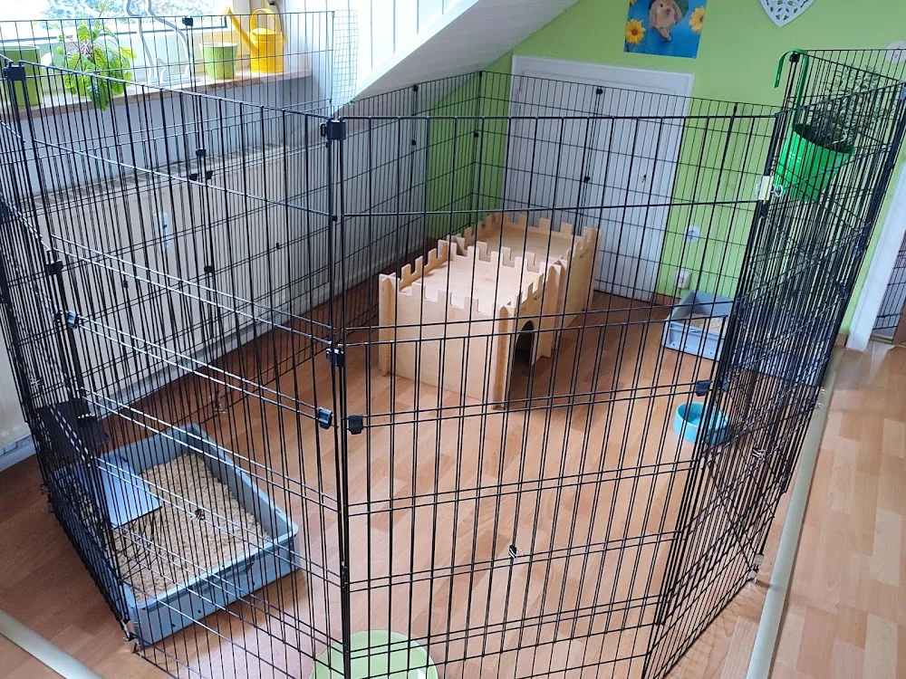 Kaninchenpension "Häschen in der Stube" - Stuttgart pet otel görseli 3