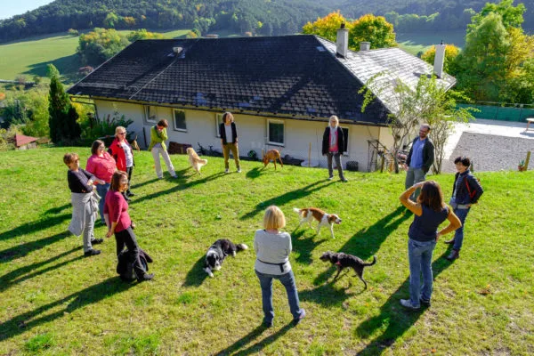 Trainings Camp Waldegg - Styria pet otel görseli 2