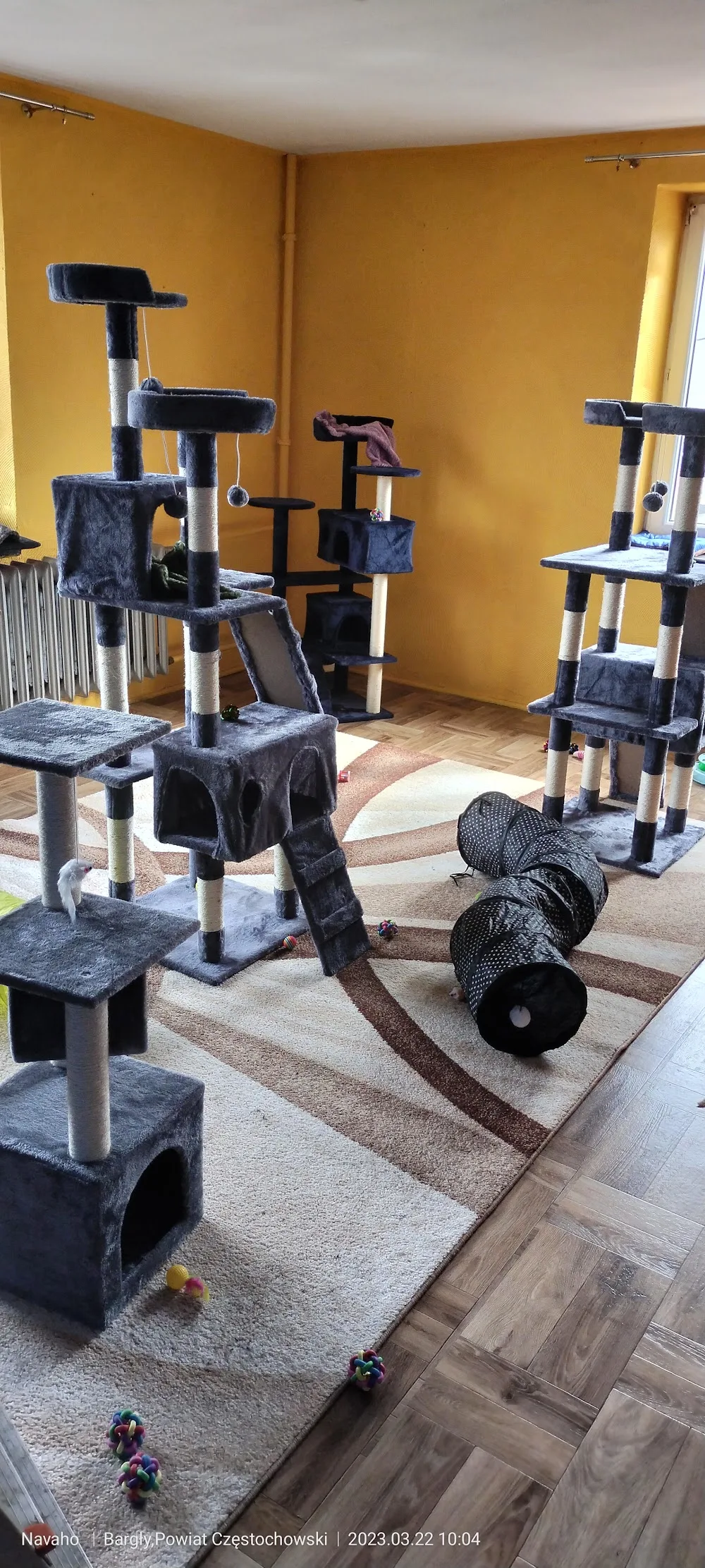 Hotel dla psów i kotów - Zwierzakowy Raj - Subcarpathia pet otel