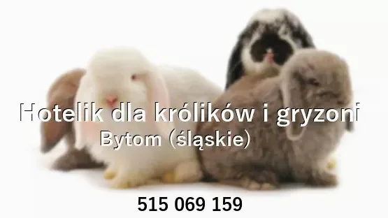 Hotelik dla królików i gryzoni&usługi groomerskie dla zwierząt - Subcarpathia pet otel