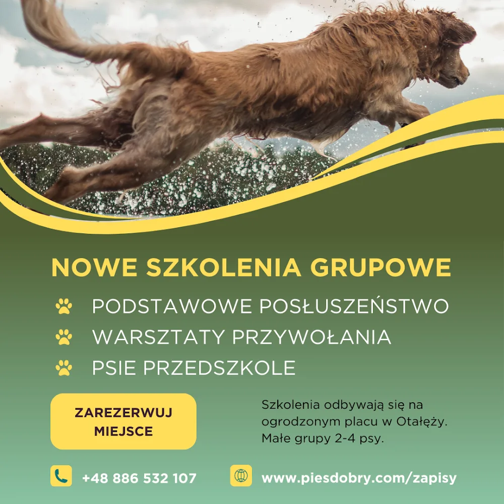 PiesDobry - szkolenie psów, konsultacje behawioralne. Hotel dla zwierząt. Tarnów, Mielec, Busko-Zdrój - Subcarpathia pet otel
