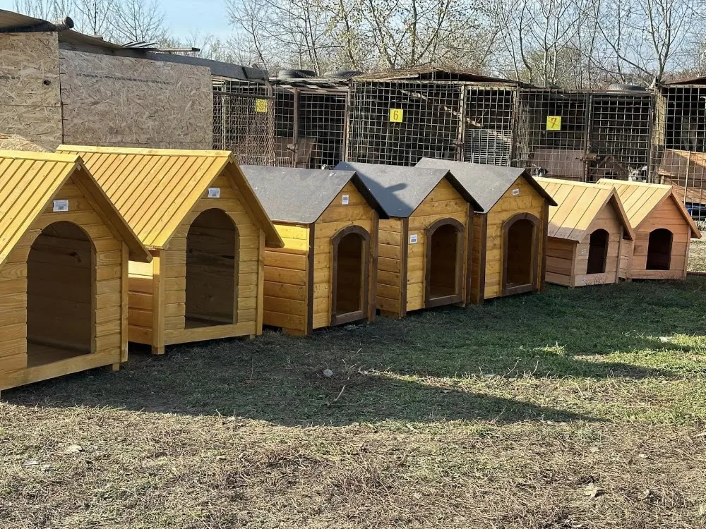 Adăpostul pentru câini fără stăpân, Suceava - Suceava pet otel görseli 3