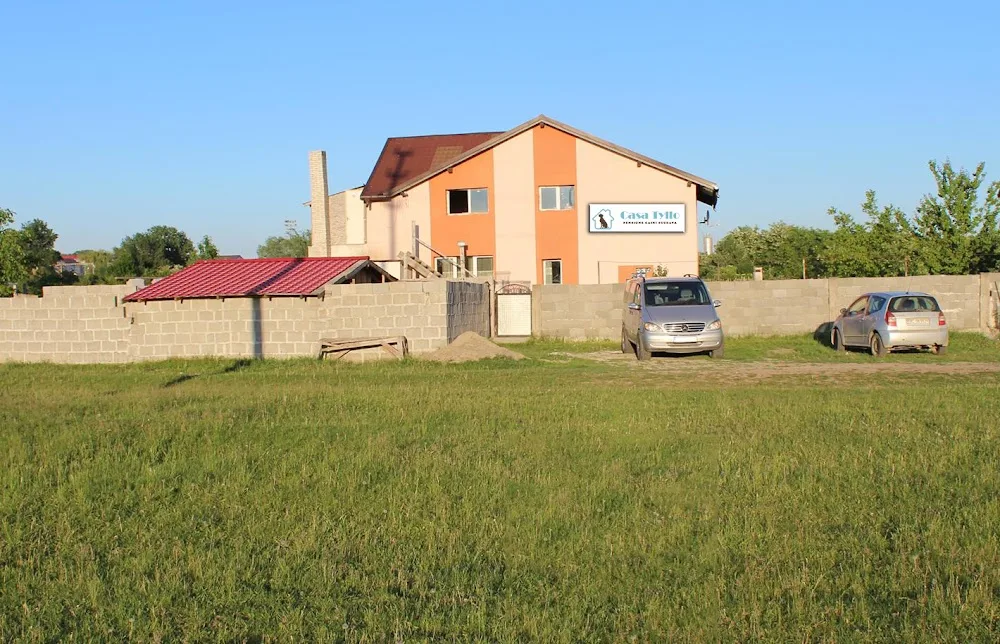 Dogs pension Suceava - Suceava pet otel