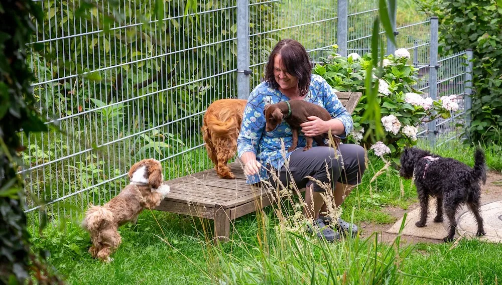 GiCo Hundebetreuung - Suhl pet otel görseli 7