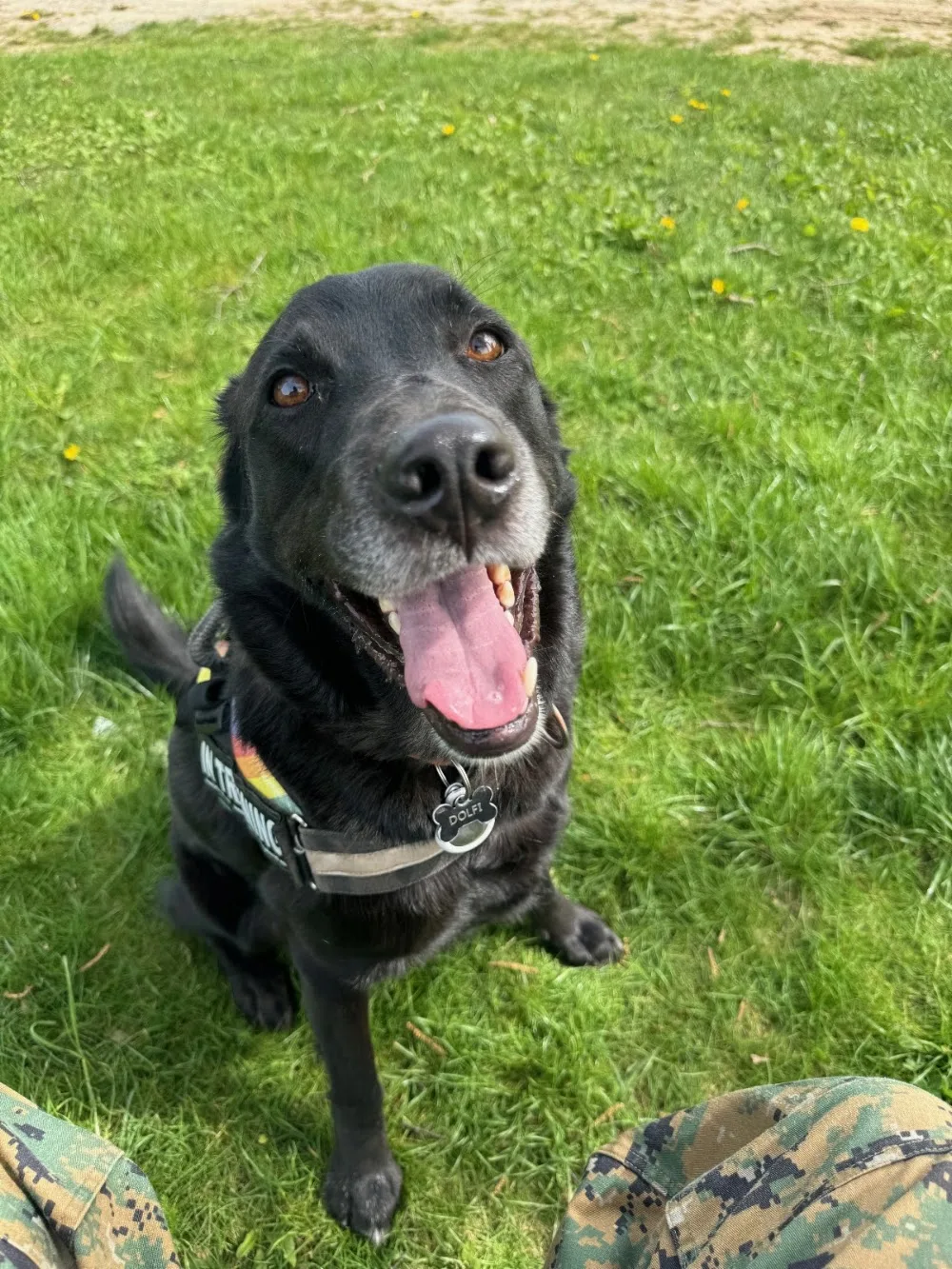Hundepension & Hundeschule vom Hummelshof - Suhl pet otel