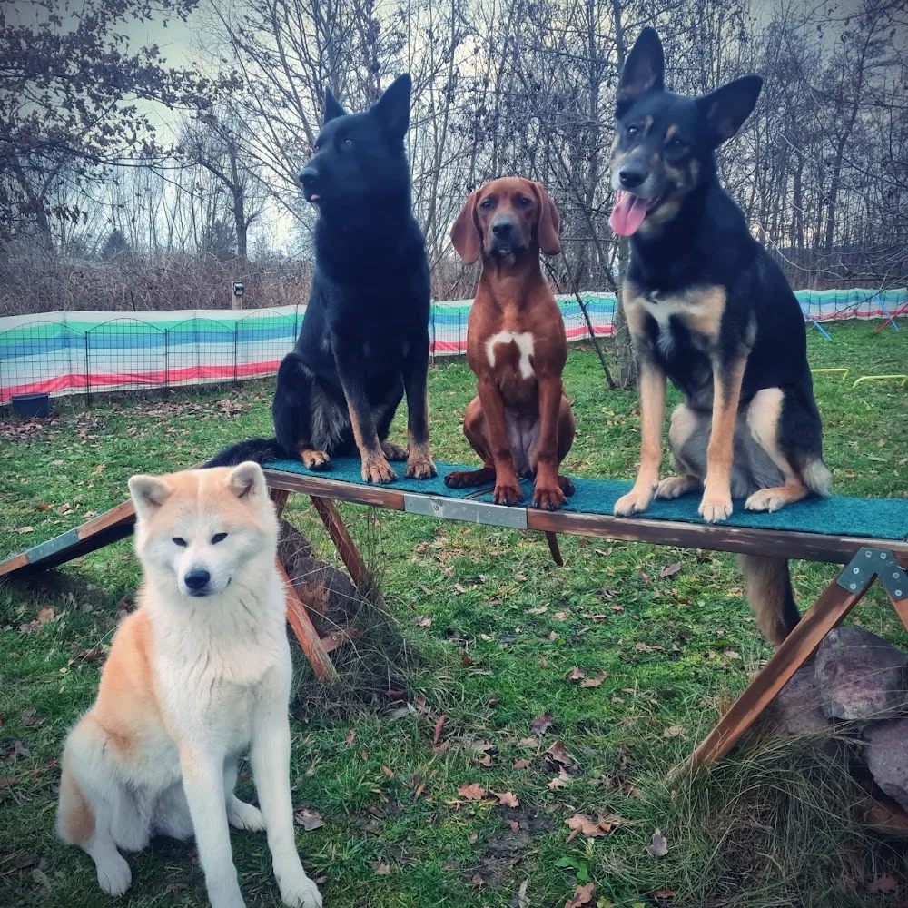 Hundeschule und Hundepension Georgenthal - Suhl pet otel görseli 7