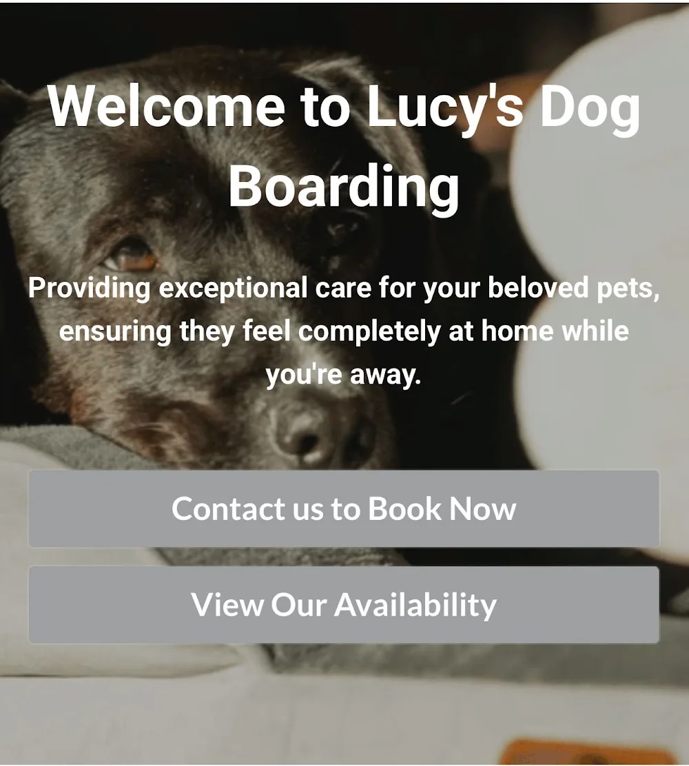 Lucy's Dog Boarding - Sunderland pet otel