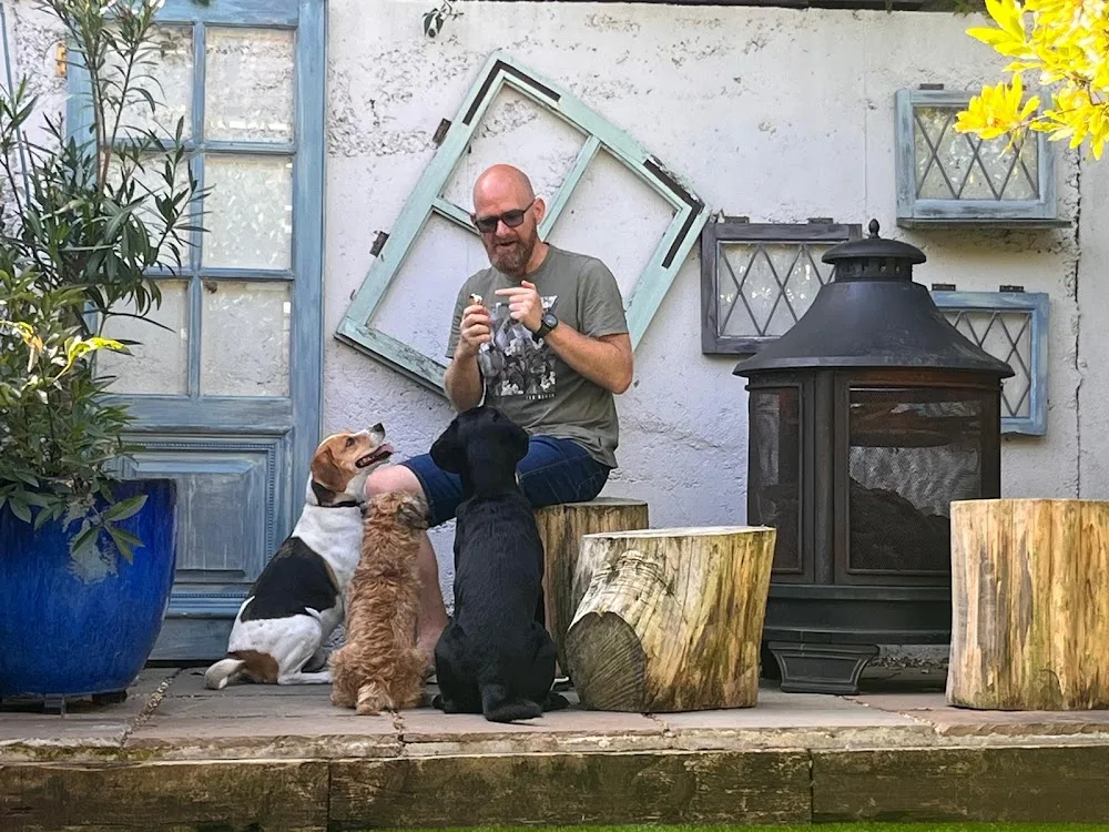Baxters Doggy Boarding & Daycare - Sutton pet otel