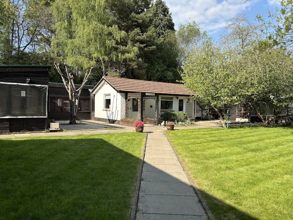 Pinewood Cattery - Sutton pet otel